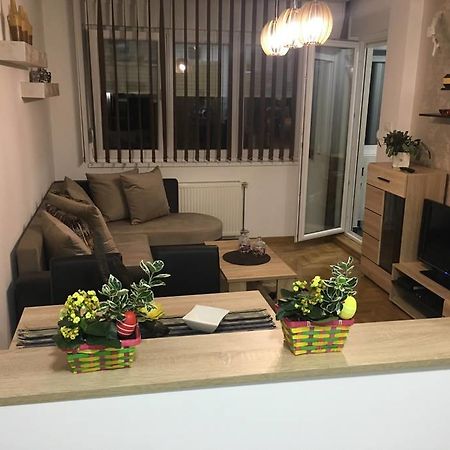 Apartment Sinisa With Garage Novi Sad Dış mekan fotoğraf