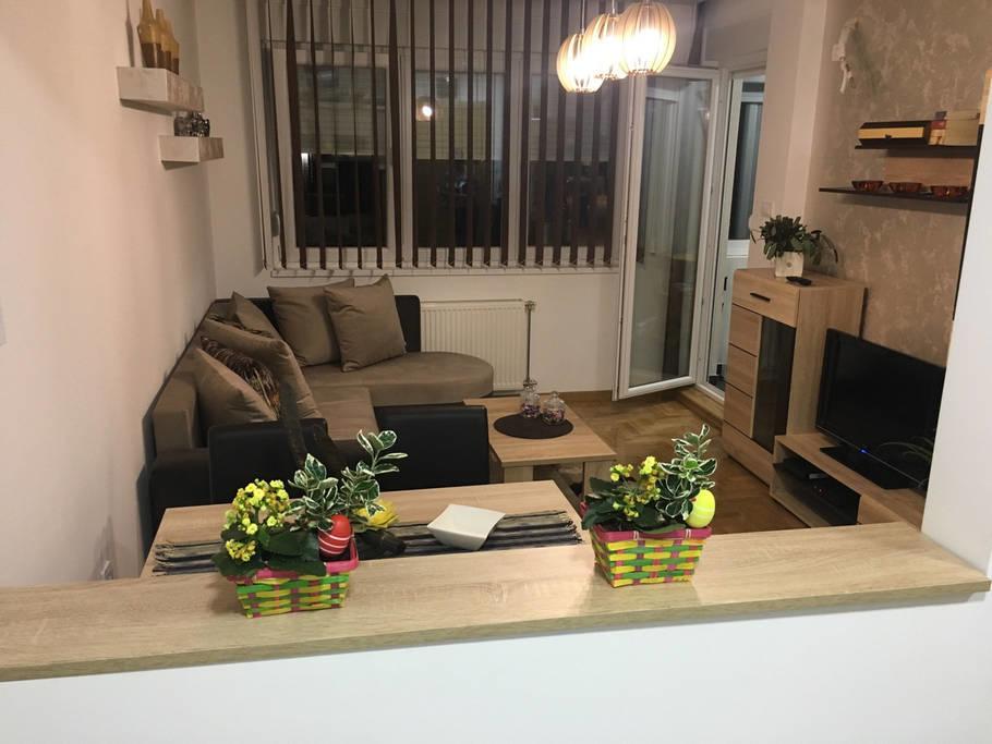 Apartment Sinisa With Garage Novi Sad Dış mekan fotoğraf